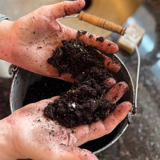 Garden Soap